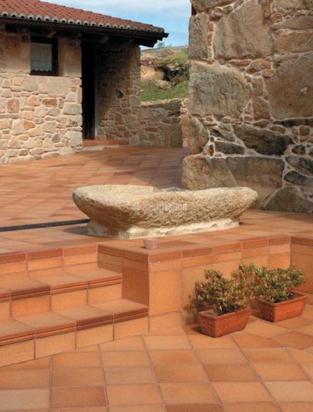 ALFYPIEL Limpieza de Alfombras a Domicilio