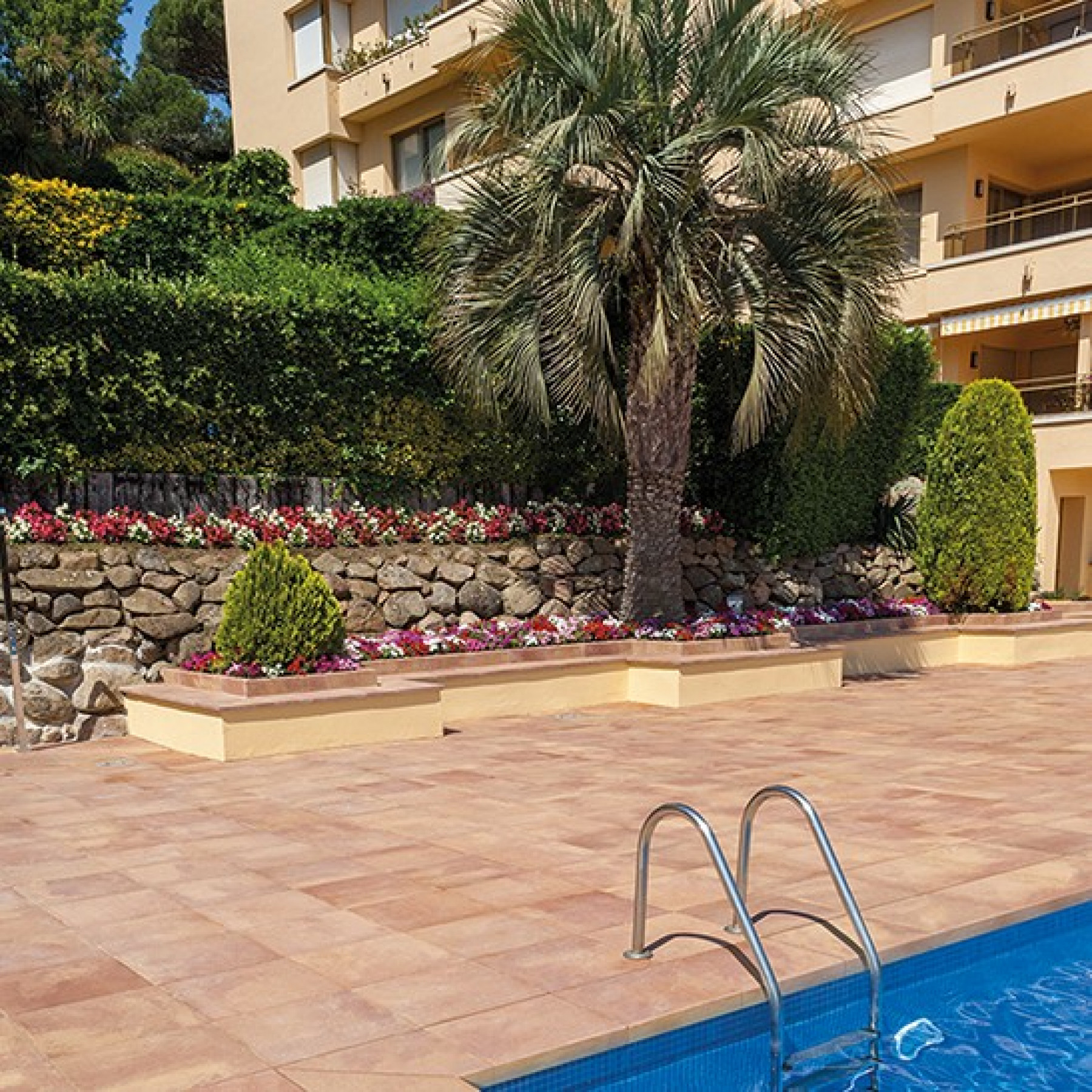 ESCUELA DE BALLET MIRIAM SICILIA