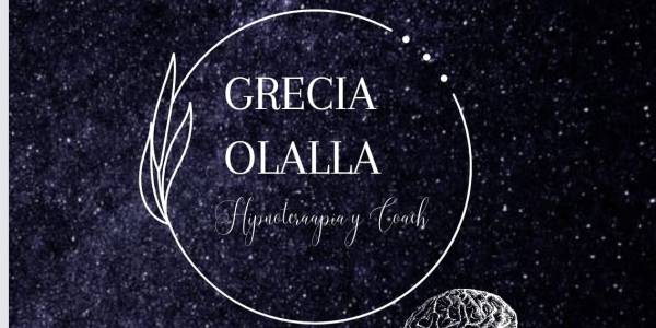 logo ALFYPIEL Limpieza de Alfombras a Domicilio