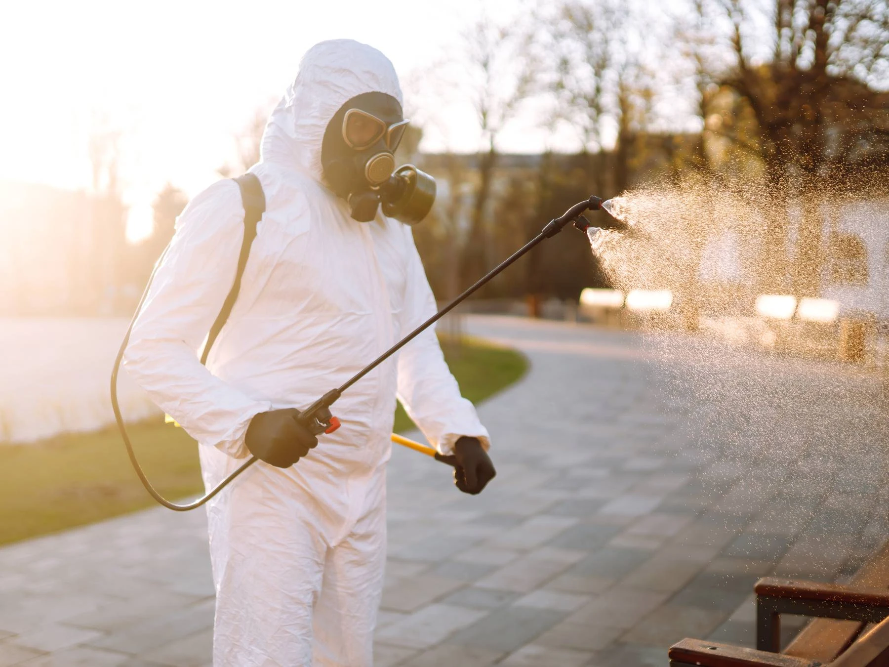 Plagas de insectos voladores: avispas, mosquitos...