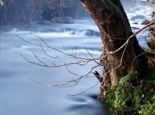 El Certamen de Fotografía Jesús y Adán de Las Rozas cumple 25 ediciones