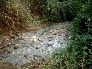 Cataratas fecales en Las Rozas: atentados contra el medio ambiente y la salud pública
