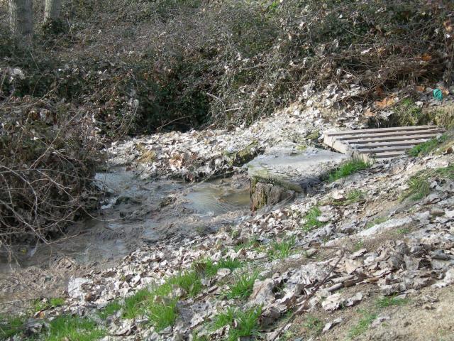 El PSOE denuncia a Confederación Hidrográfica del Tajo, nuevos vertidos fecales en Monterrozas
