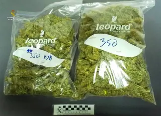 La Guardia Civil de Las Rozas desmantela un grupo organizado que menudeaba con cocaína y marihuana