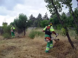 El Ayuntamiento desbroza más de 300 hectáreas del municipio para prevenir incendios