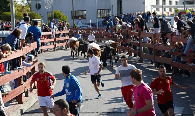Las fiestas de Las Rozas entran en su recta final