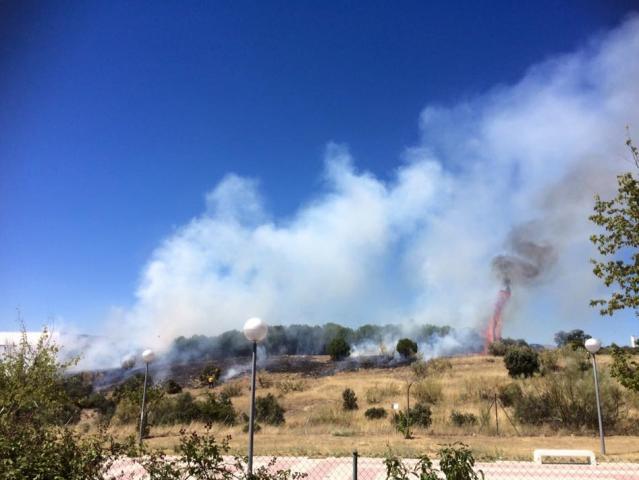 Los bomberos controlan dos incendios declarados en Las Rozas - Noticias en Las  Rozas