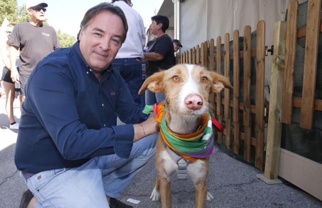 
                                                    El abandono de mascotas en la Comunidad registra los valores más bajos en el primer semestre de 2016