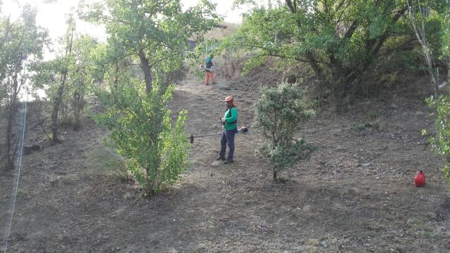 Terminan los trabajos de desbroce en 370 hectáreas de zona natural en Las Rozas