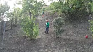 Terminan los trabajos de desbroce en 370 hectáreas de zona natural en Las Rozas