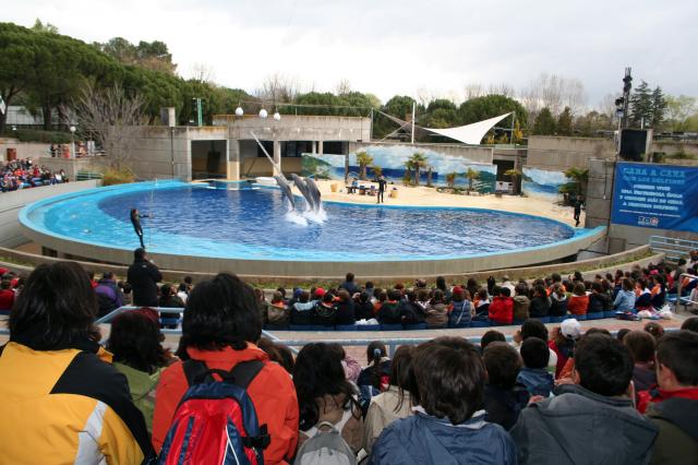 
                                                    Alumnos roceños celebraron en el Zoo de Madrid el Día Mundial del Árbol