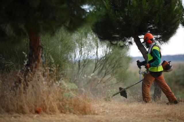 Comienza la operación de desbroce y tratamientos del terreno para prevenir incendios en la época estival