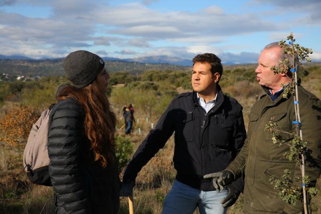 El Ayuntamiento de Las Rozas colabora junto a Hyundai en la plantación de 600 árboles