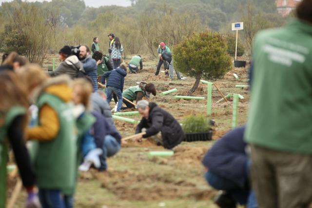 Las Rozas, sede de la COP25 con la plantación de 1.000 árboles para combatir la crisis climática