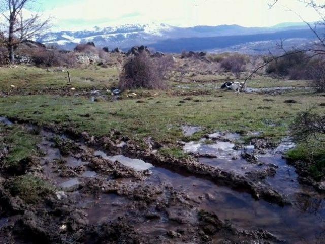 
                                                    EQUO pide incluir a Pozuelo, Majadahonda y Las Rozas como zonas vulnerables por contaminación de nitratos 