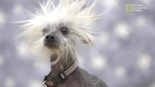 Continúan las rachas de viento en la jornada de hoy