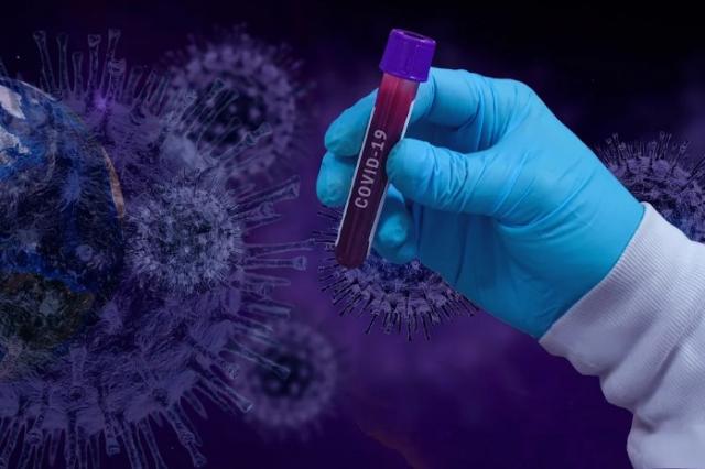 
                                                    Comienzan las llamadas telefónicas a los 6.000 madrileños seleccionados por el INE para el estudio de seroprevalencia del coronavirus 