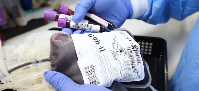 
                                                    Éxito del ensayo clínico que coordina el Puerta de Hierro para tratar el Covid-19 con plasma hiperinmune
