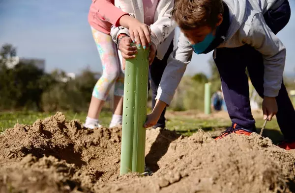 Los alumnos de Las Rozas plantarán en el municipio más de 2.000 árboles hasta abril