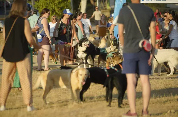 Las tres zonas caninas inauguradas este año elevan a 49 el total de áreas disponibles en Las Rozas