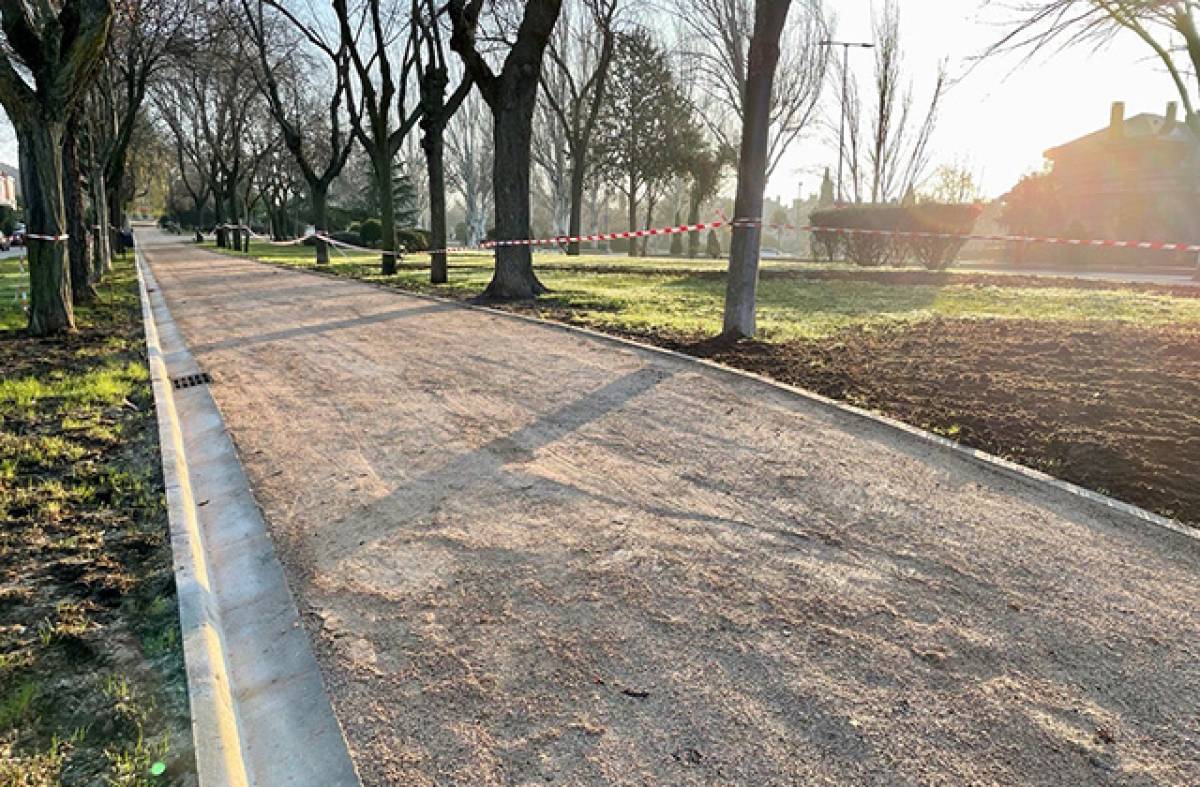 La renovación de la zona verde de la calle Playa de Gandía finalizará en pocos días