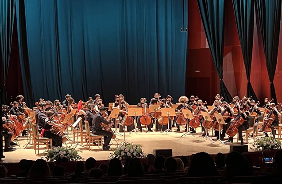 MÚSICA. 'La voz entre violonchelos'. 19 de Marzo en Las Rozas - Agenda  Cultural en Las Rozas