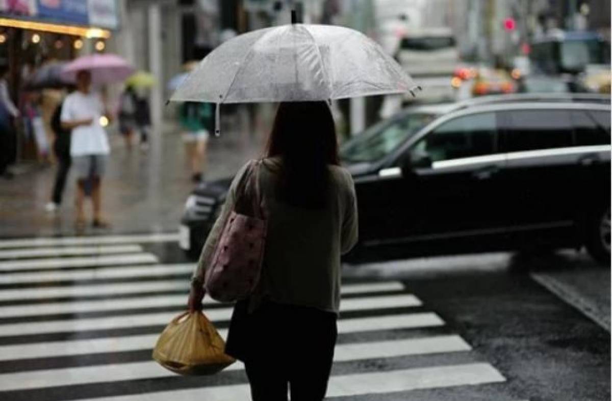 Cuarenta propuestas del comercio local para aprovechar los Días de Lluvia en Las Rozas