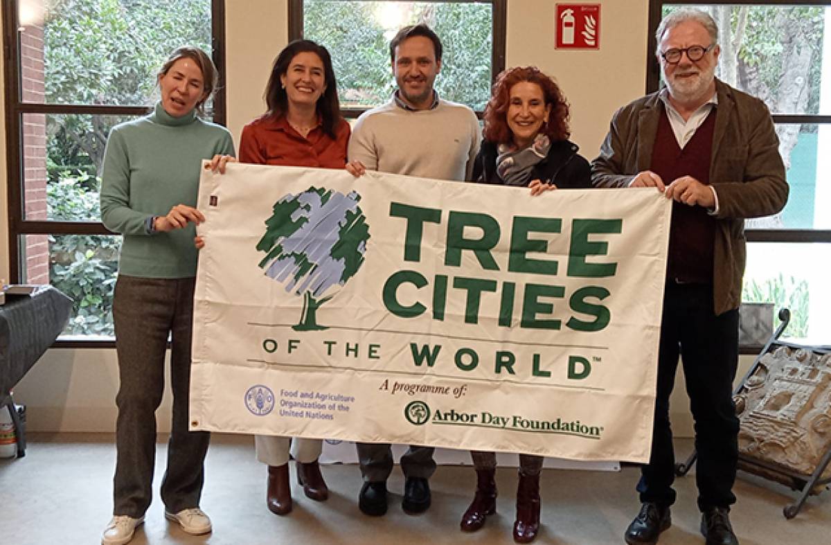 Las Rozas recibe la bandera de la FAO 'Tree Cities of the World' por su gestión del arbolado urbano en 2022
