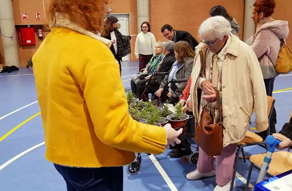 Más de 1.500 escolares de Las Rozas regalan plantas a los mayores por Navidad
