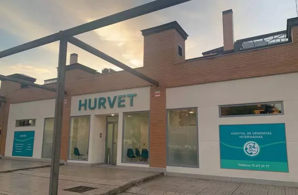 HURVET, el hospital veterinario de urgencias de la zona noroeste al que acudir si tu mascota necesita atención inmediata