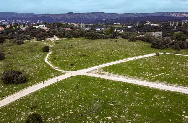 Las Rozas reduce un 60% su huella de carbono gracias a las medidas adoptadas