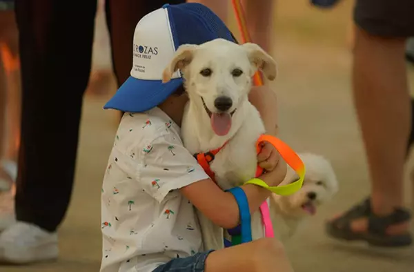 La Dehesa de Navalcarbón acogerá 'CaniCross Las Rozas': una carrera no competitiva para disfrutar con nuestros perros