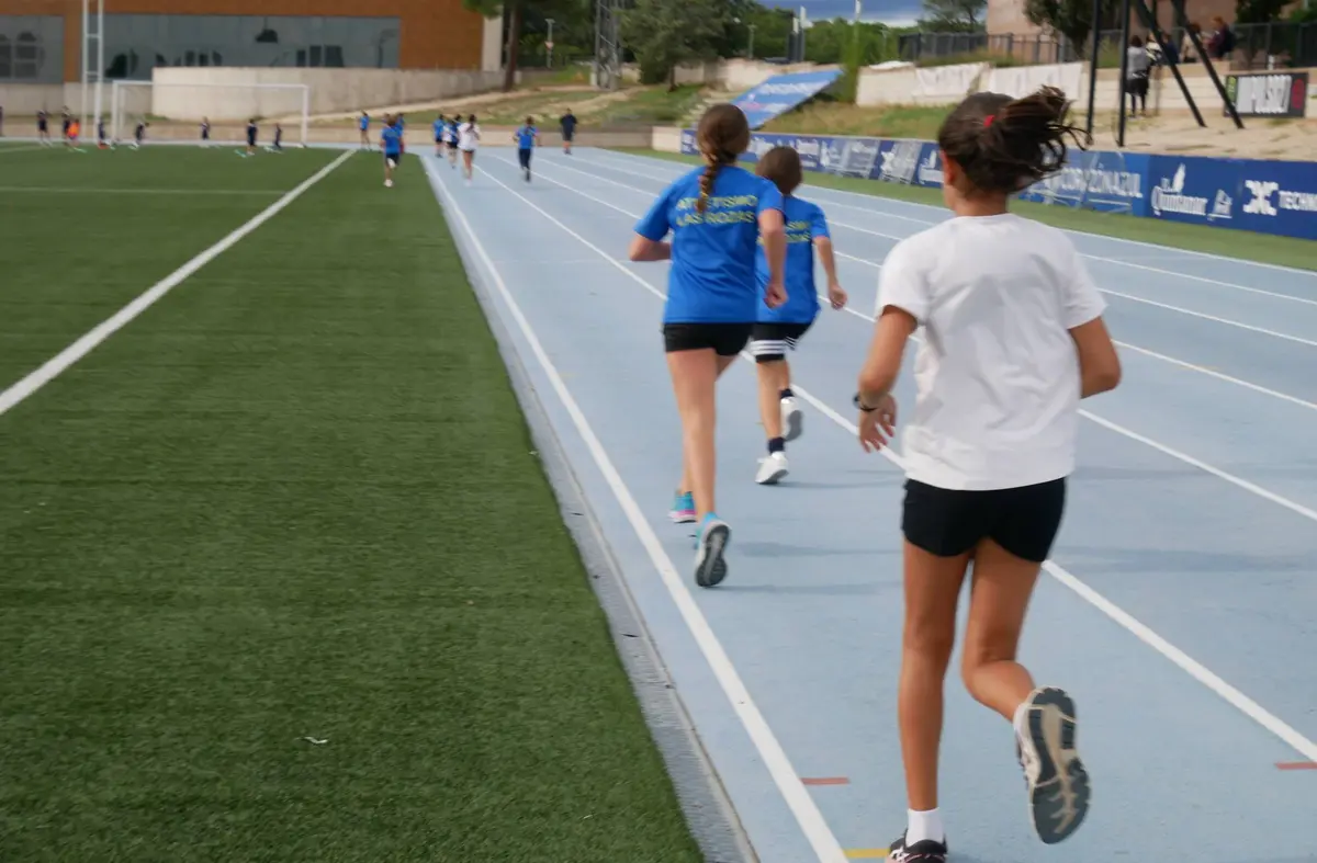 Durante el curso 2024/25, cerca de 6.700 alumnos participaron en las Escuelas Deportivas Municipales de Las Rozas