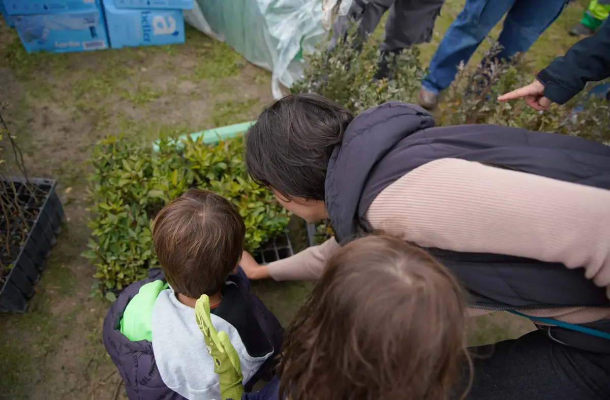Rutas, talleres y actividades gratuitas: Las Rozas arranca su Programa de Educación Ambiental de otoño