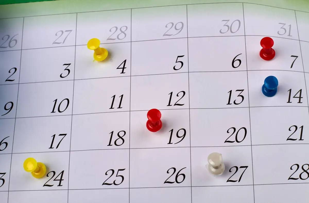 Las Rozas aprueba sus festivos locales: así queda el calendario laboral para 2026 