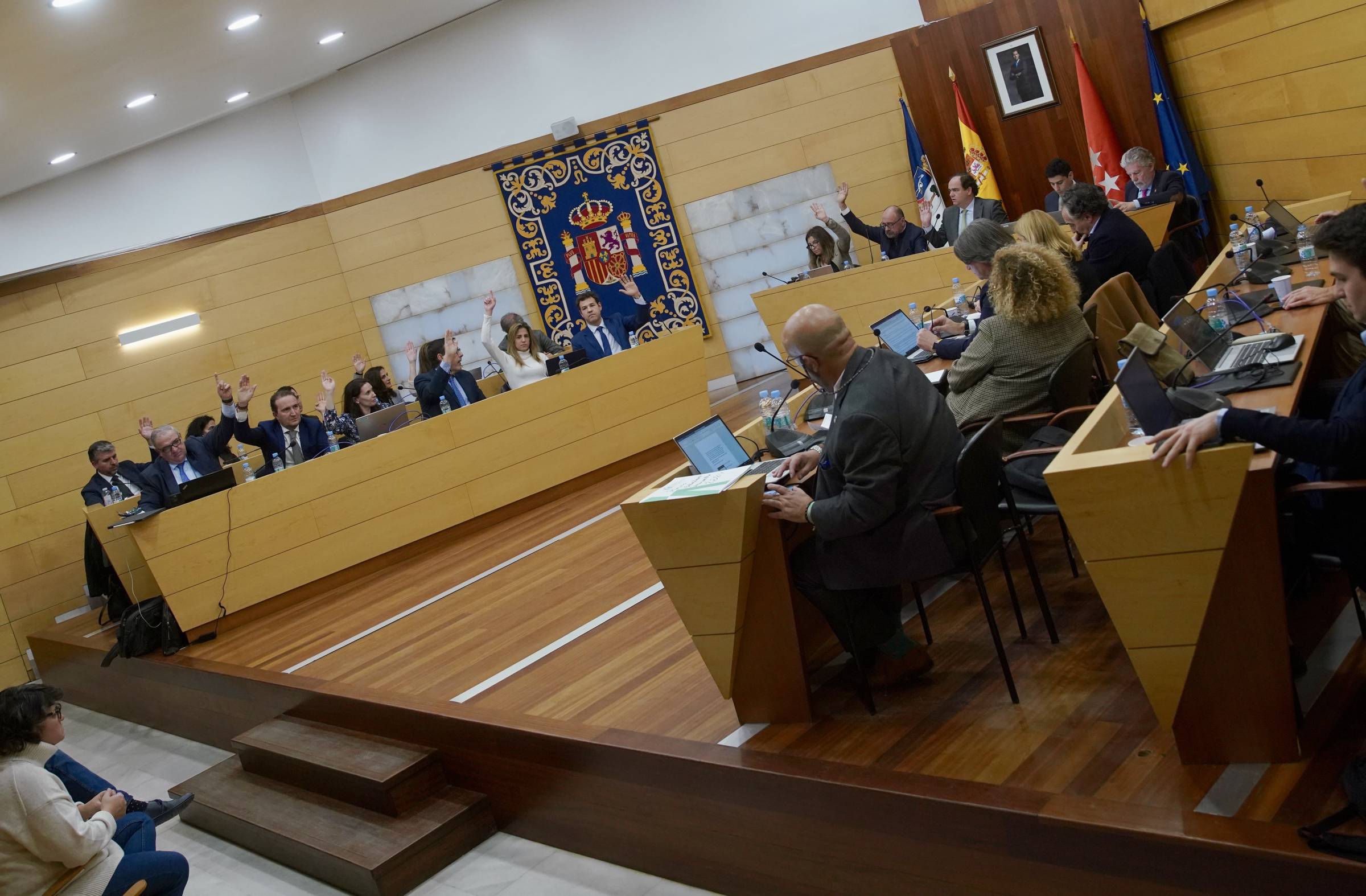 El PSOE de Las Rozas presenta una moción en defensa de los derechos humanos y contra el genocidio en Gaza 
