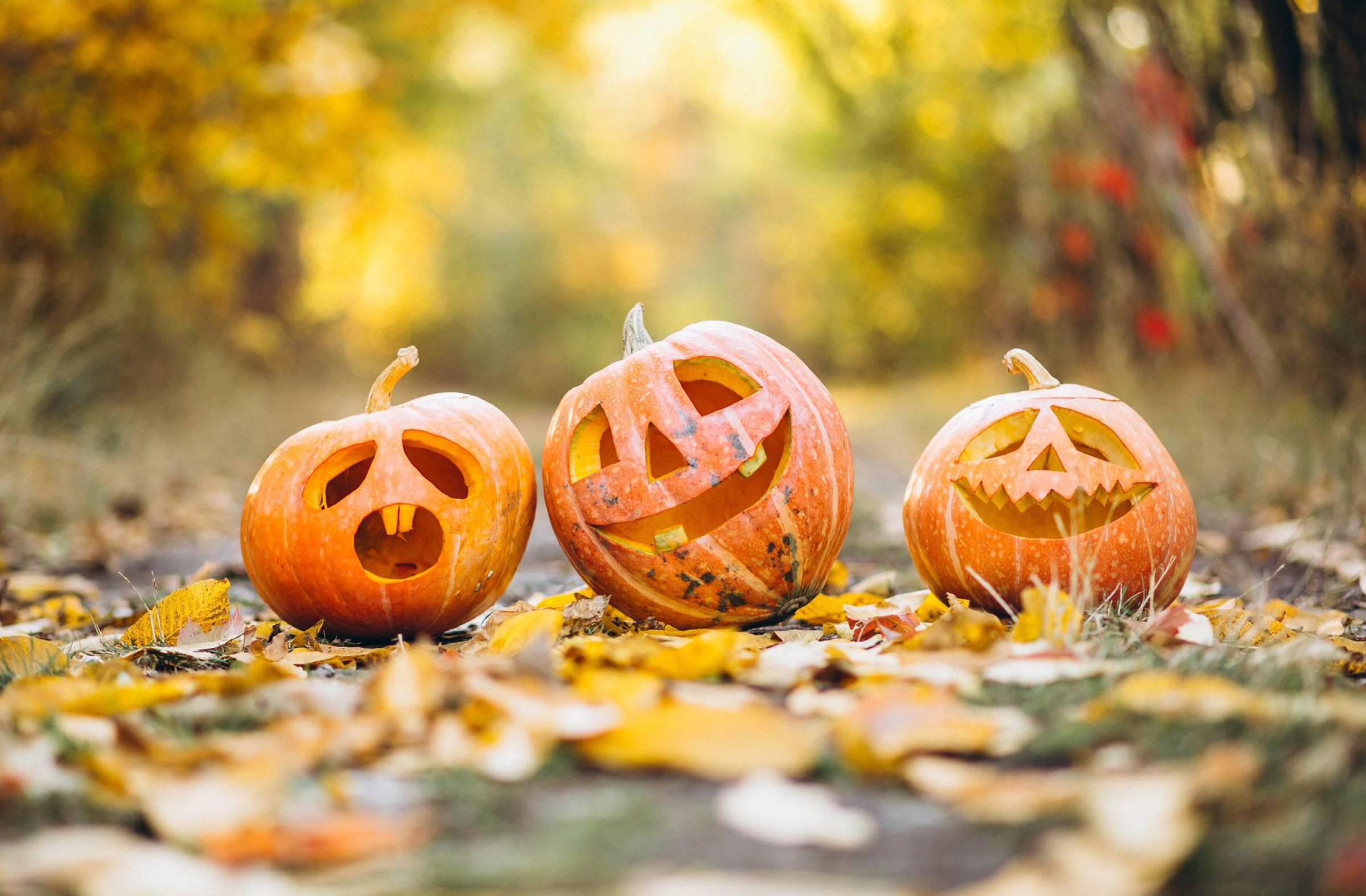 Halloween, cine, música y gastronomía, entre las propuestas para el fin de semana en Las Rozas