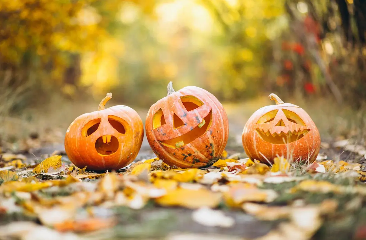 Halloween, cine, música y gastronomía, entre las propuestas para el fin de semana en Las Rozas