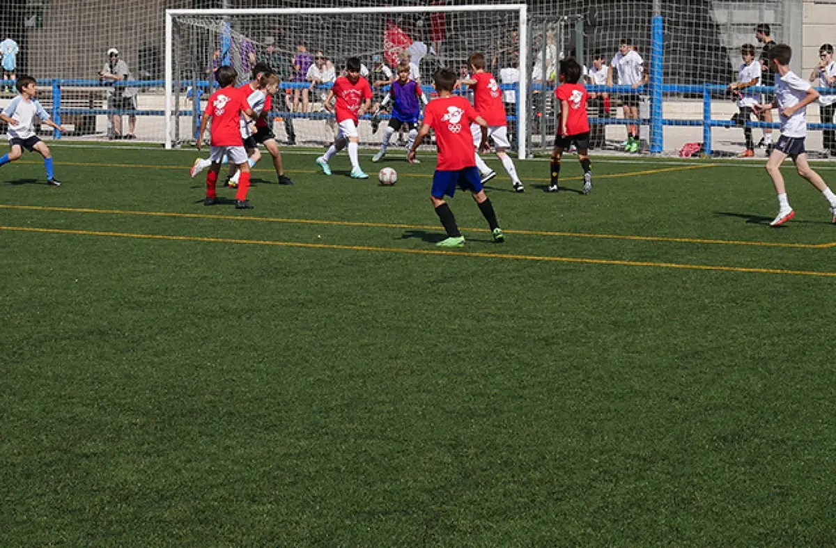 Los Juegos Municipales de Las Rozas baten récord de participación con más de 5.700 deportistas