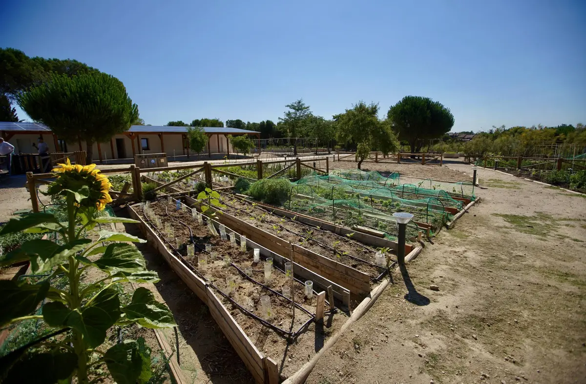 Las Rozas abre el plazo para solicitar el uso de los Huertos Urbanos de La Talaverona