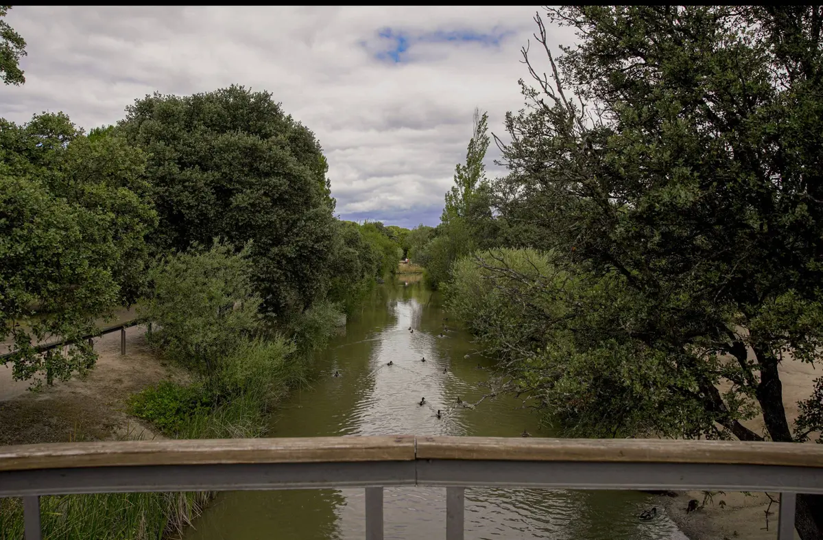 Las Rozas ejecuta 14 km de Arco Verde para conectar a los vecinos con zonas naturales