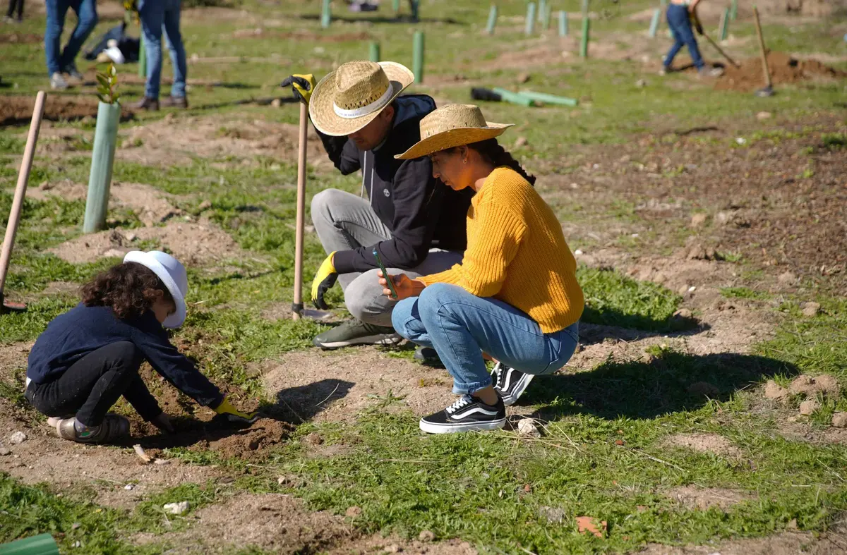 Las Rozas recibe por sexta vez el premio 'Tree Cities of the World' por su gestión del arbolado urbano
