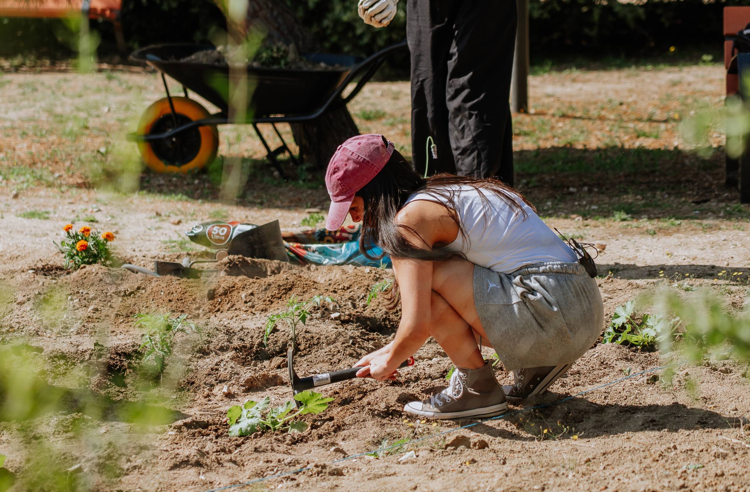 
                                                    Los centros de salud de Las Rozas podrán 'recetar' actividades en la naturaleza para mejorar el bienestar emocional