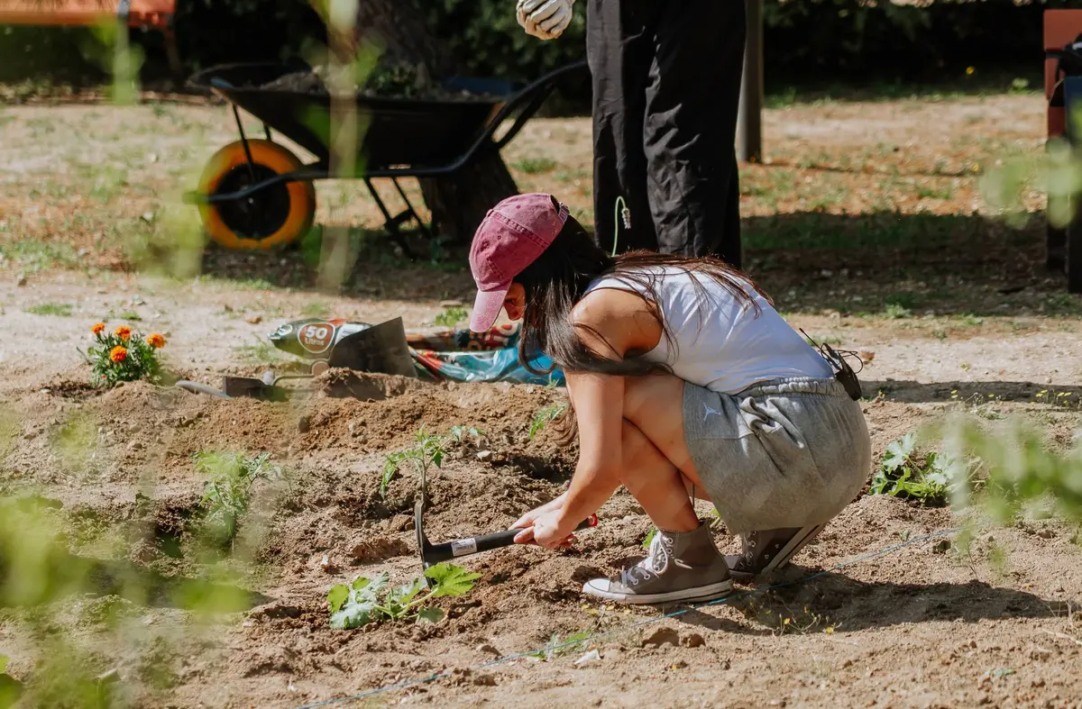     Los centros de salud de Las Rozas podrán 'recetar' actividades en la naturaleza para mejorar el bienestar emocional