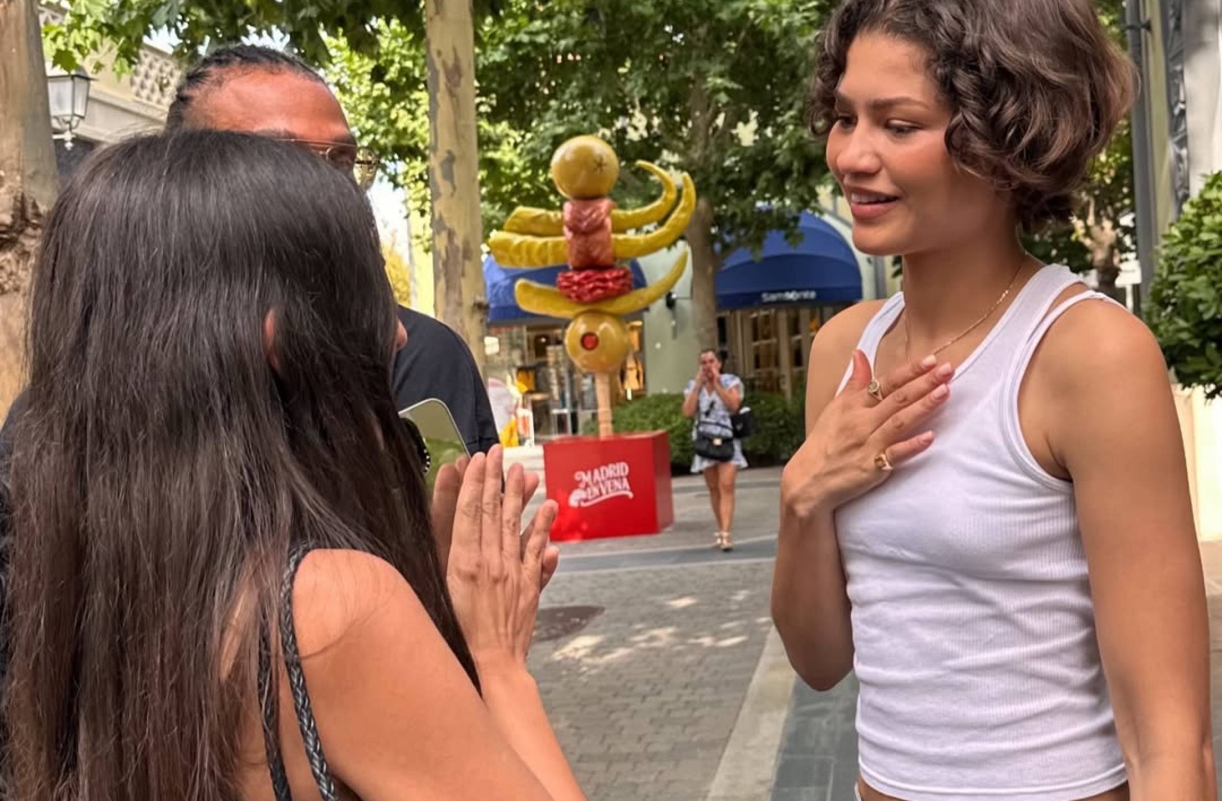 
                                                    Zendaya: pillada de compras en Las Rozas