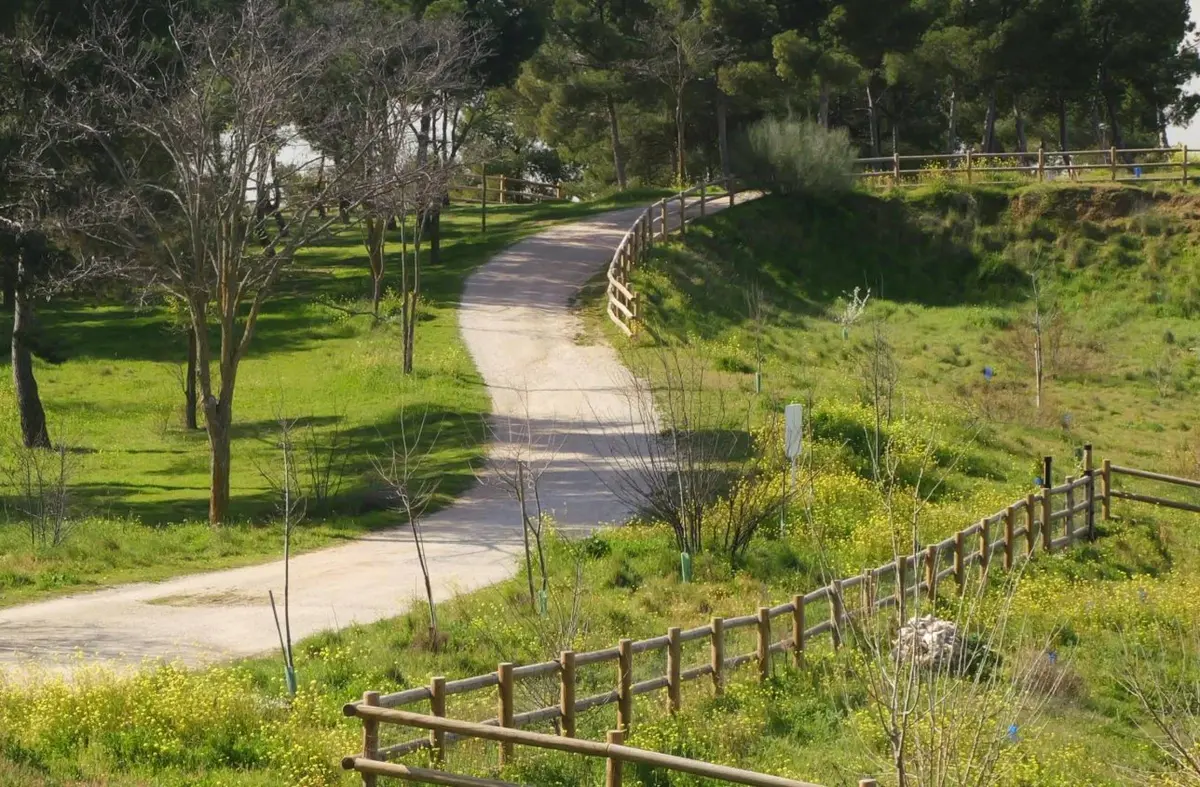 Rutas del 'Arco Verde' en Boadilla y alrededores para recorrer a pie o en bicicleta