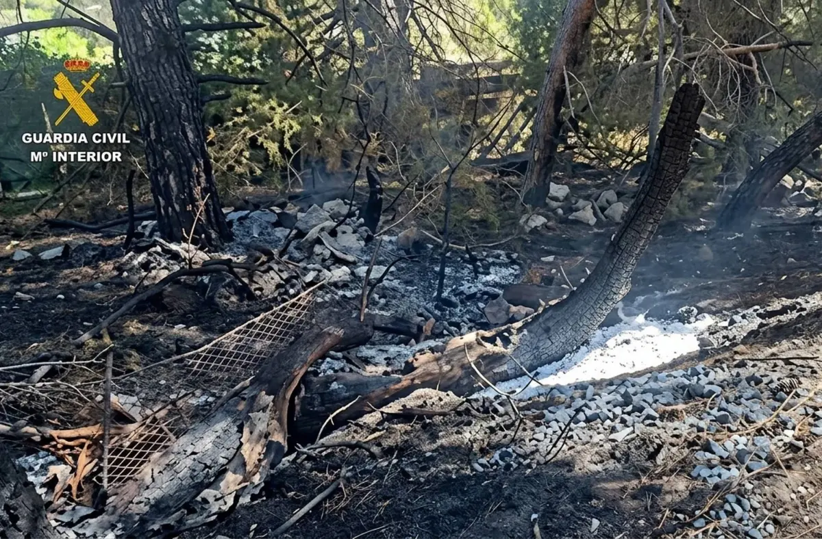Cuatro detenidos por provocar un incendio al lanzar una bengala desde un coche