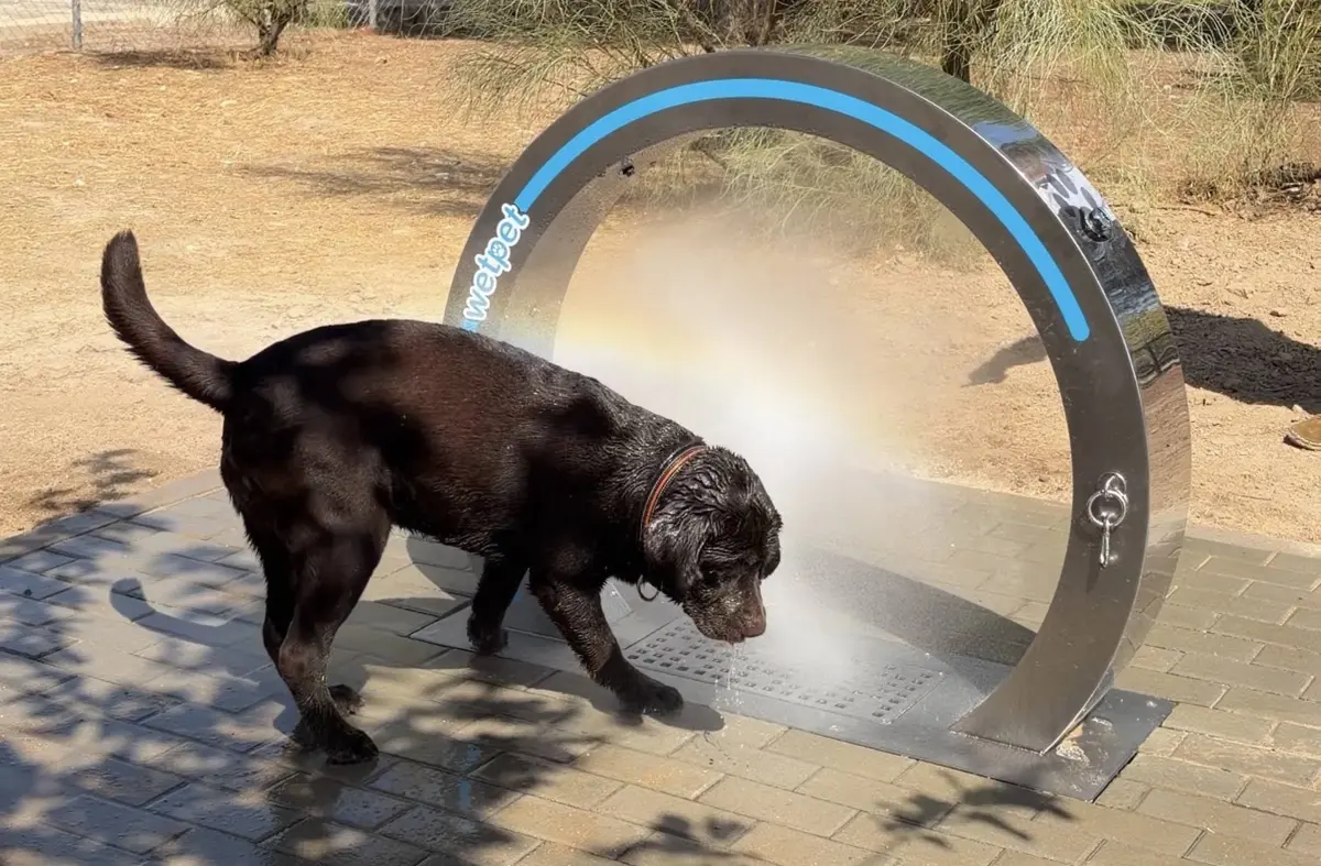 Nuevo dispositivo para refrescar y mejorar el bienestar de las mascotas en Las Rozas