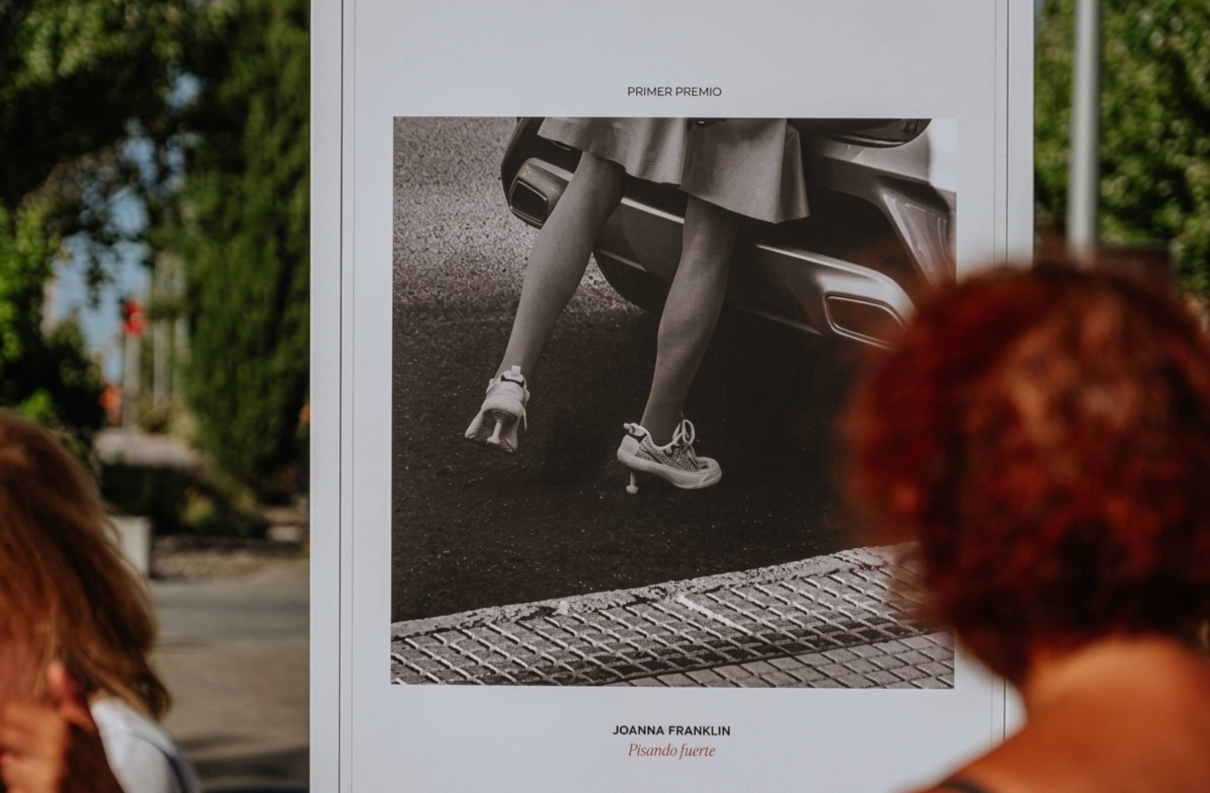 
                                                    31 fotografías y 21 miradas sobre la belleza, en la nueva exposición al aire libre de Las Rozas