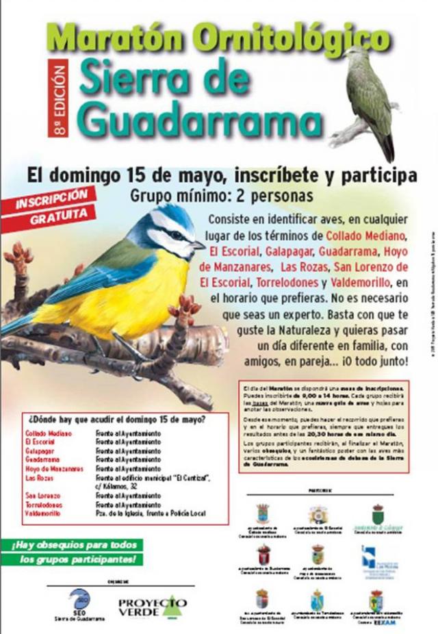 
                                                    Las Rozas participará en la octava edición deI Maratón Ornitológico Sierra de Guadarrama